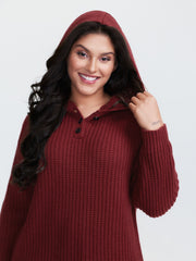 Hooded Textured Half Placket Button Pullover