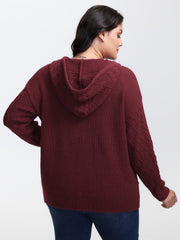Solid Textured Hooded Pullover