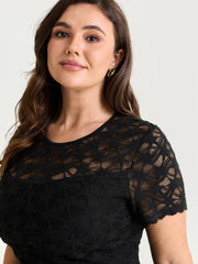 Sheer Lace Round Neck Knit Top